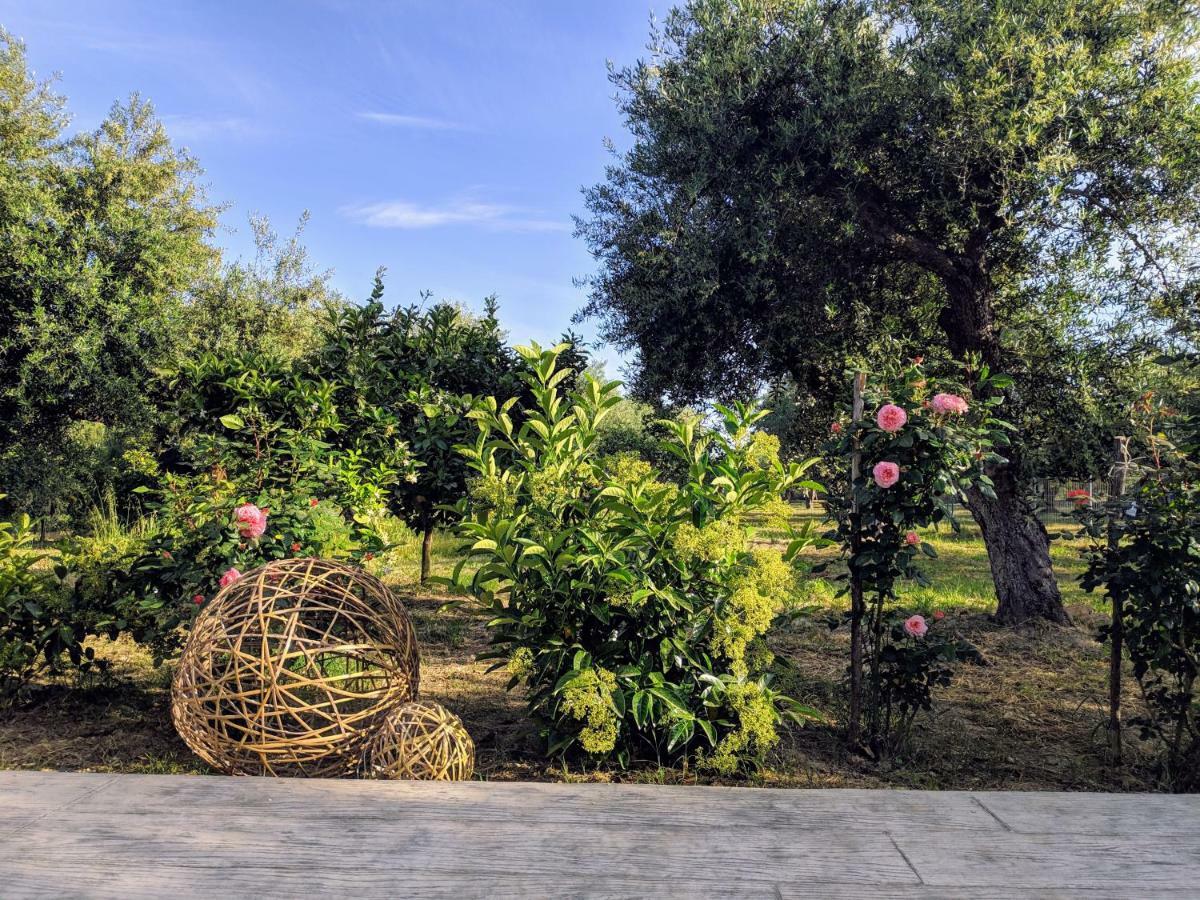 Apartamento Casa Di Porto Roma Vasilikí Exterior foto